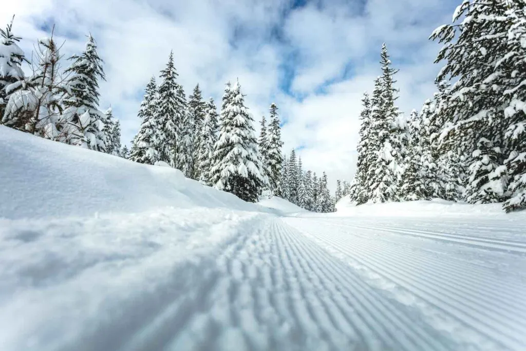Ski tracks in snow and snow covered trees at Warner Canyon Ski Area in Oregon