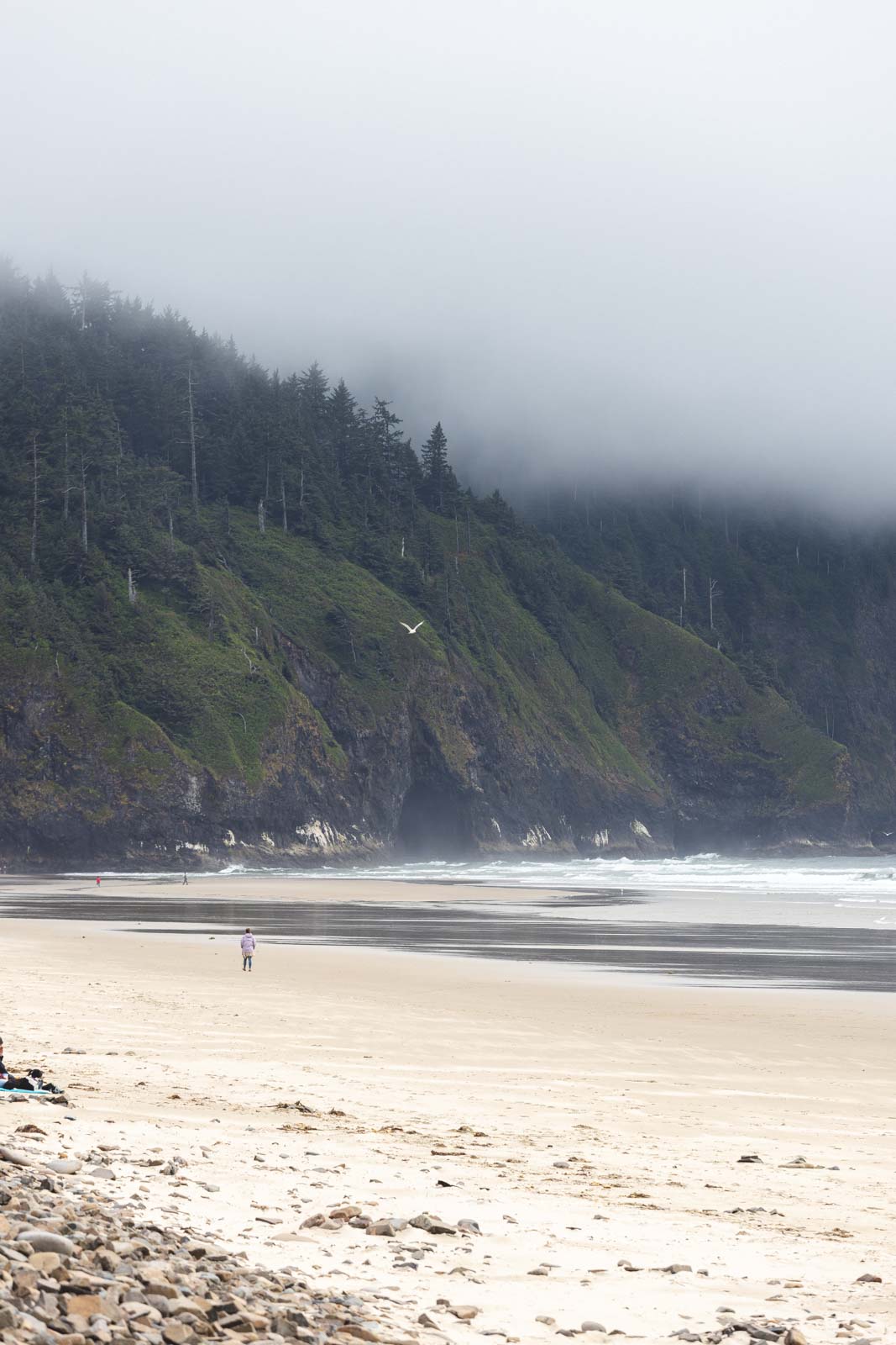 Cape Lookout State Park beach with fog around headland