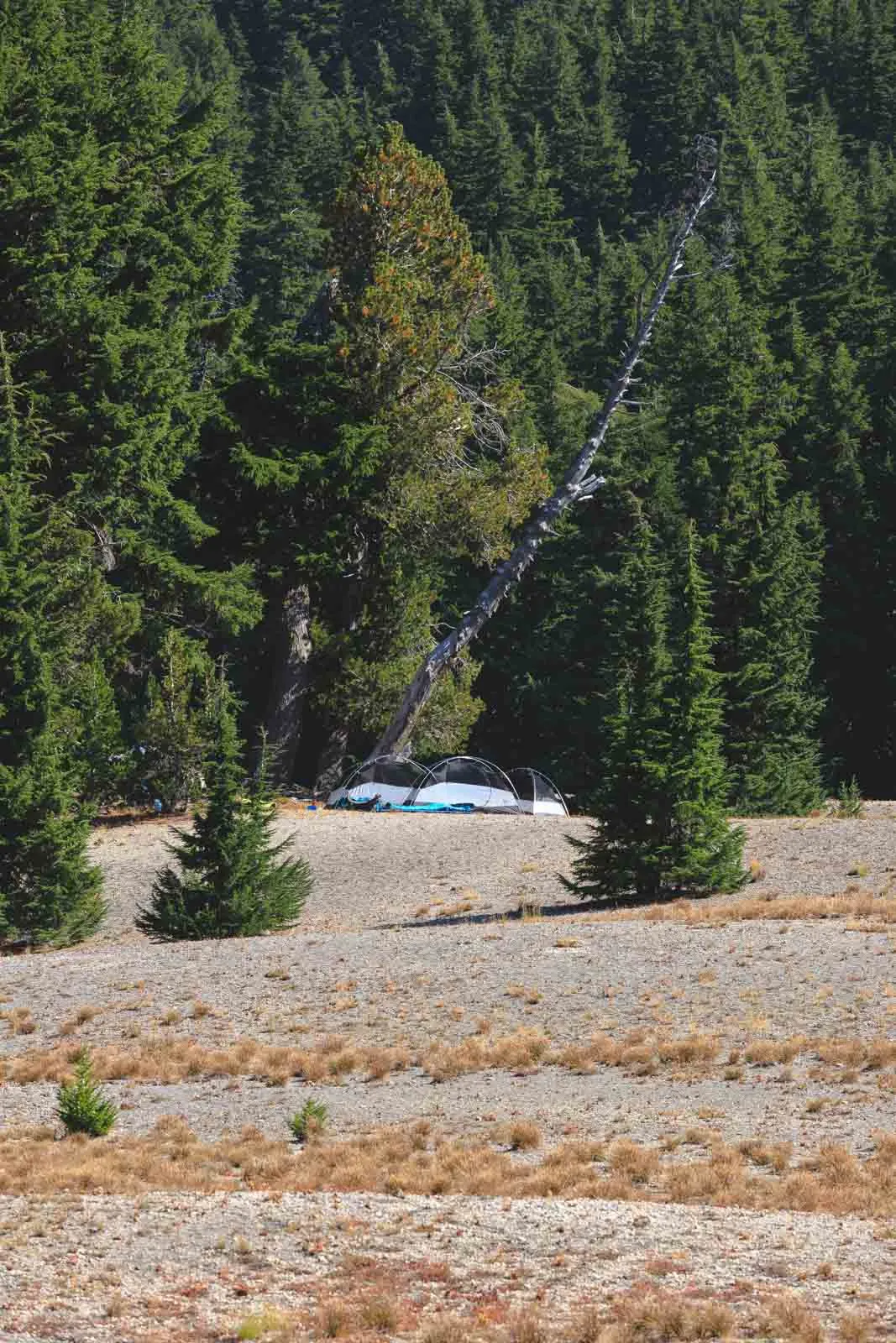Tent in the forest near Green Lakes trail