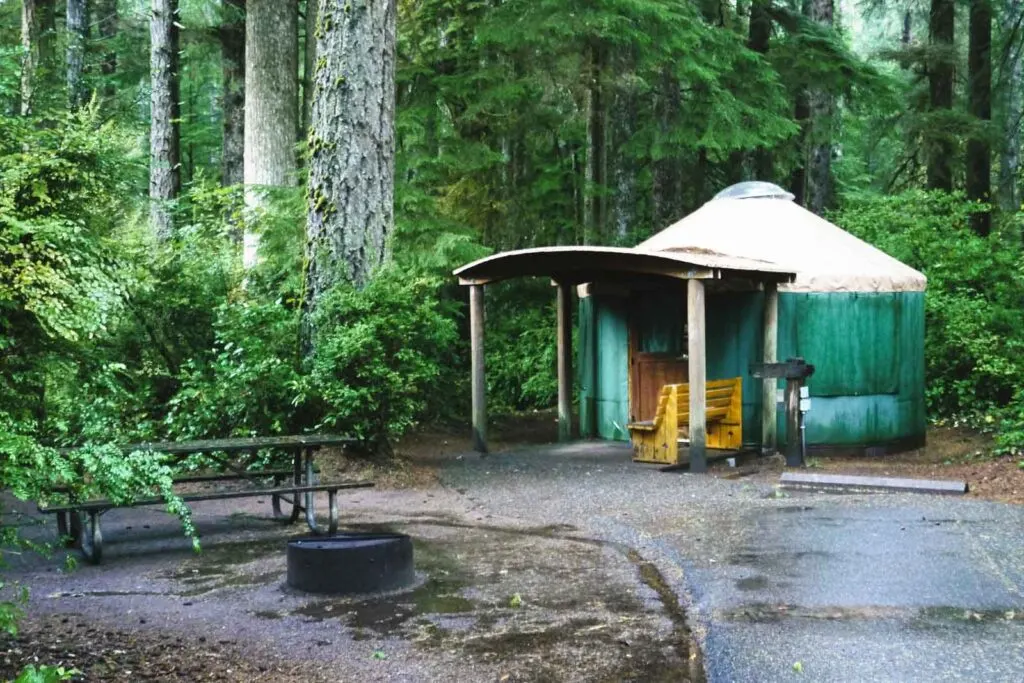Yurt in forest, one of the yurt rentals on the Oregon Coast at Jessie M. Honeyman State Memorial Park
