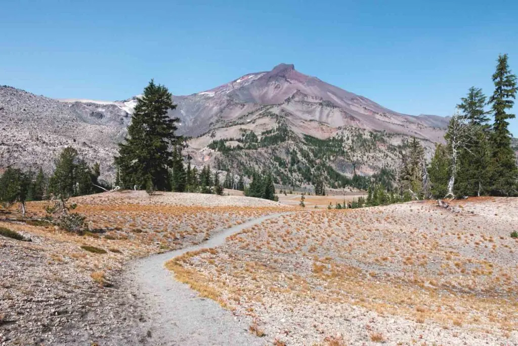 View of South Sister mountain and the trail to Green Lakes