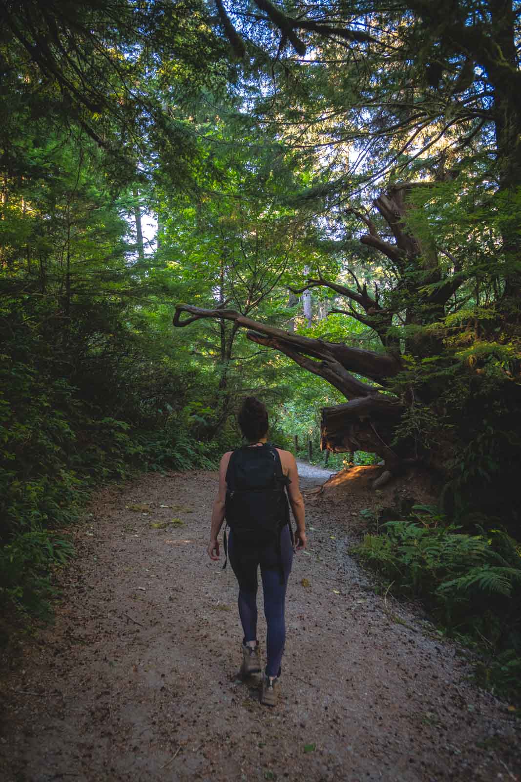 Woman with her back to camera on hiking trail in the woods in Oregon
