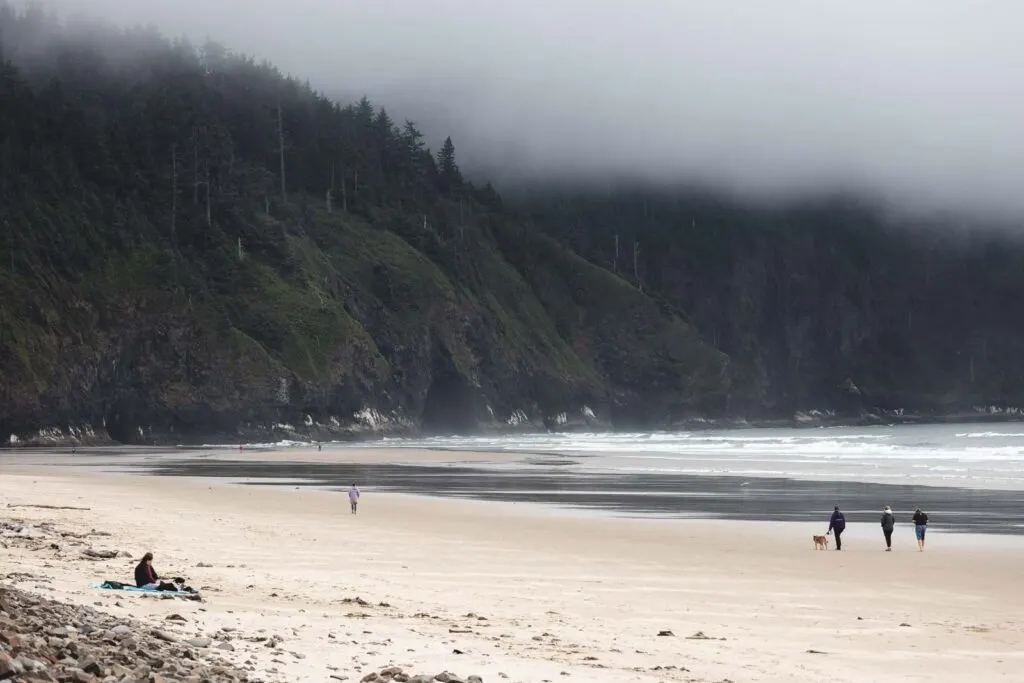 Beach with a few people on it, with green headland in background and fog at Cape Lookout