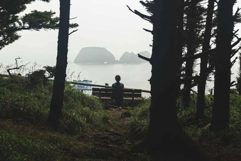 Person sitting on bench and looking out to sea on the Cape Meares Lighthouse loop