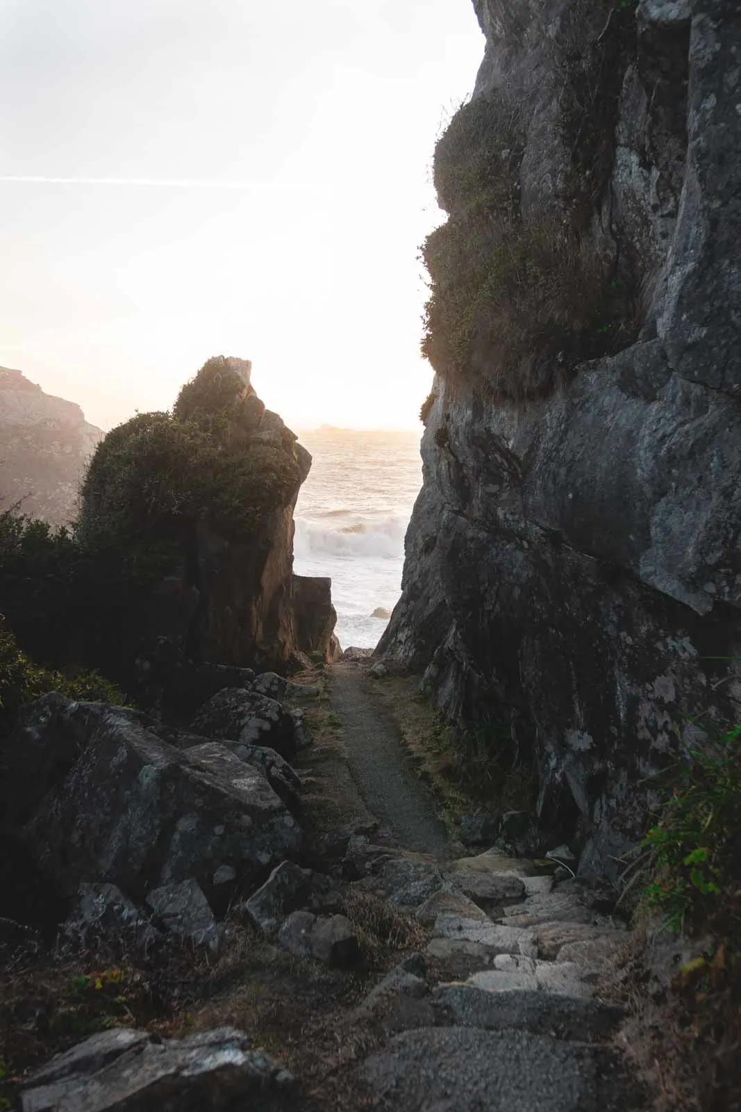 Hiking trail through the rocks at Harris Beach State Park