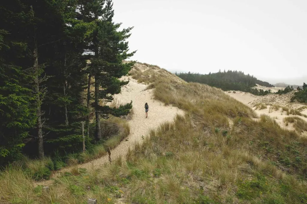 Person walking up path with forest beside them on the Oregon Dunes