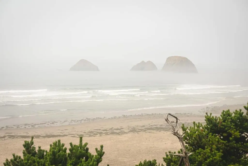 Foggy view of beach, islands and the ocean on the Three Capes Scenic Route