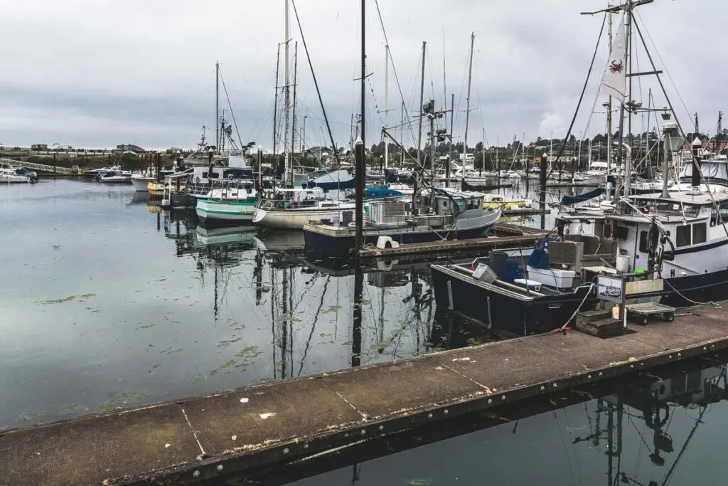 Boats in marina at Brookings near Gold Beach in Oregon