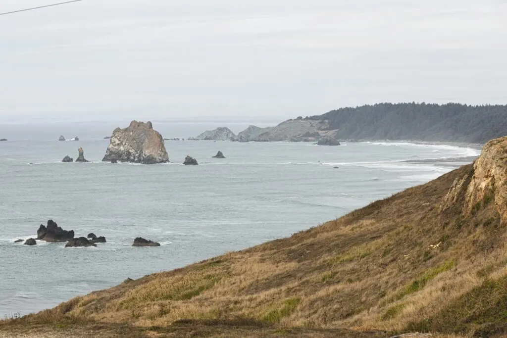 View over grassy slope and ocean and headland in the distance on a foggy day in Cape Blanco State Park