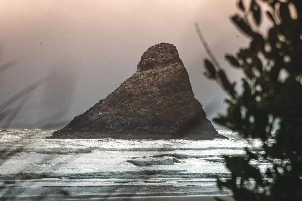 Triangle shaped rock jutting out of the ocean seen through trees and grasses in the foreground at Heceta Head