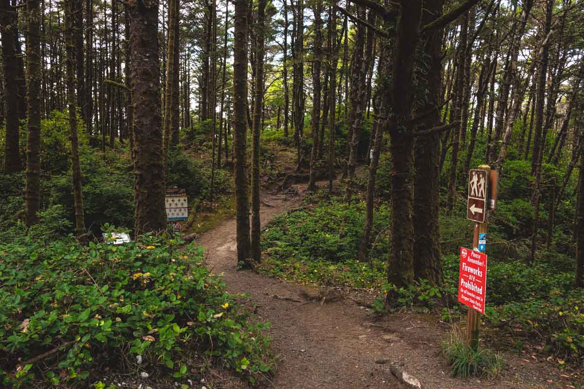 Hiking trail through forest with sign on right hand side at Heceta Head.
