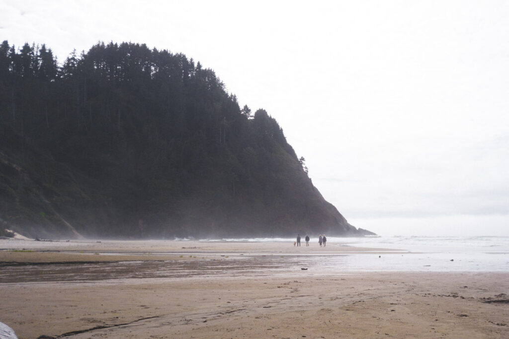 Hobbit Beach with people walking on the sand in the distance and tree covered headland on a foggy day