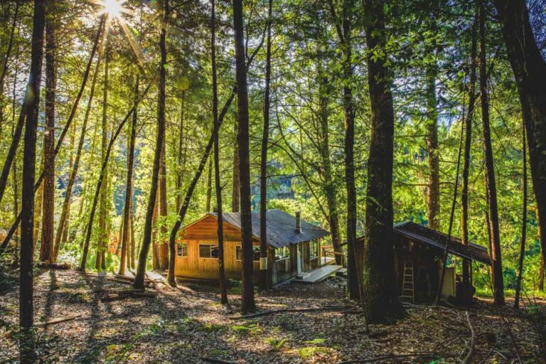 Cabin seen through the trees near the Rogue River trail in Gold Beach