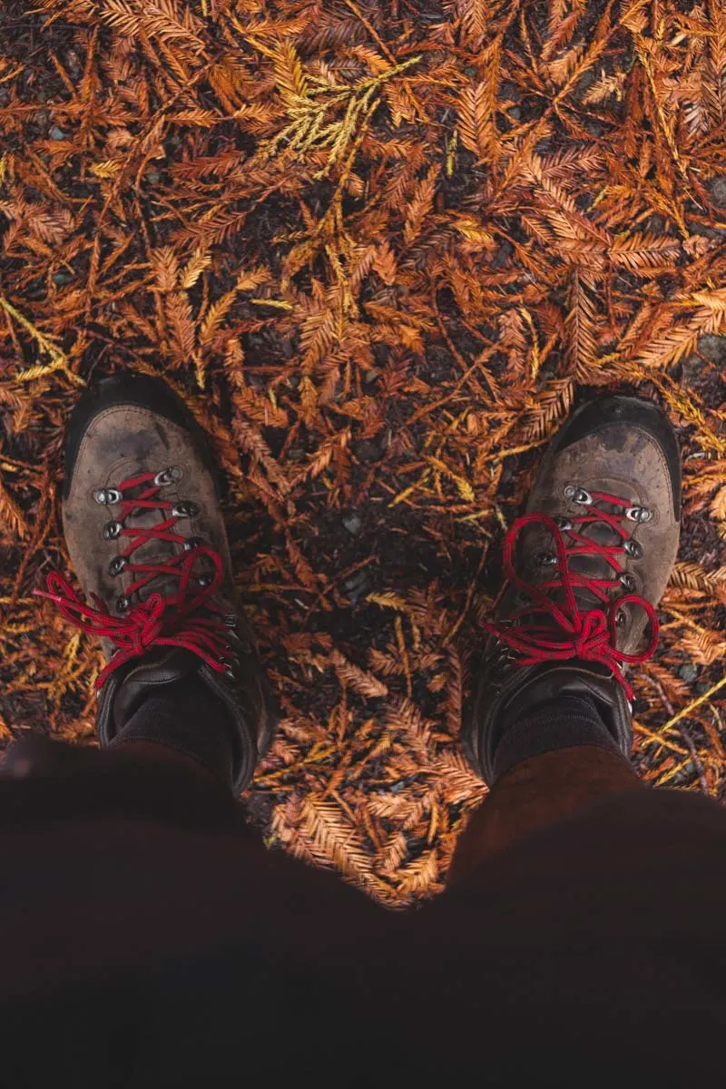 Two feet with hiking boots and bottom of legs from above on dried leaves in the Oregon Redwoods forest