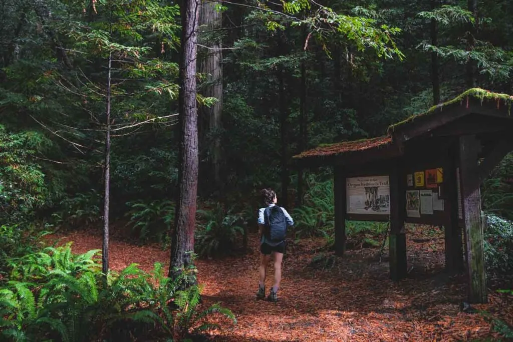 Hiker at trailhead sign for Oregon Redwoods trail with tall trees around