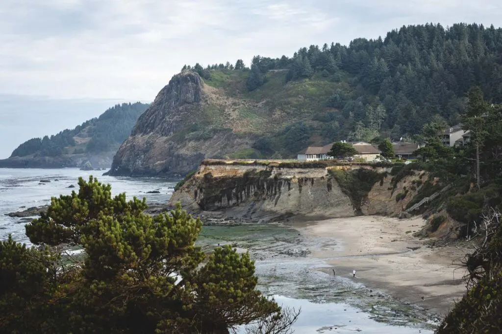 Coastline with beach, sea cliffs, and forested headland around Devils Punch Bowl on a foggy day on the Oregon Coast