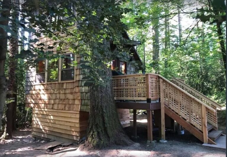 21 of the Coolest Cabins in Oregon Oregon is for Adventure