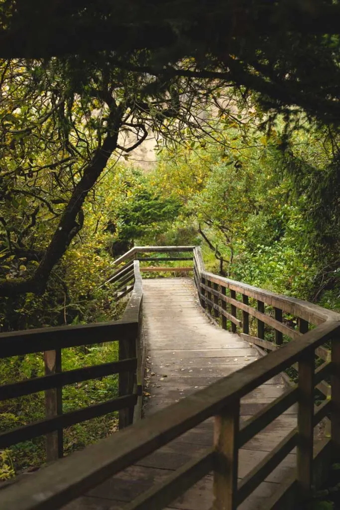 Treelined footbridge on the Ecola State Park to Indian Beach Trail