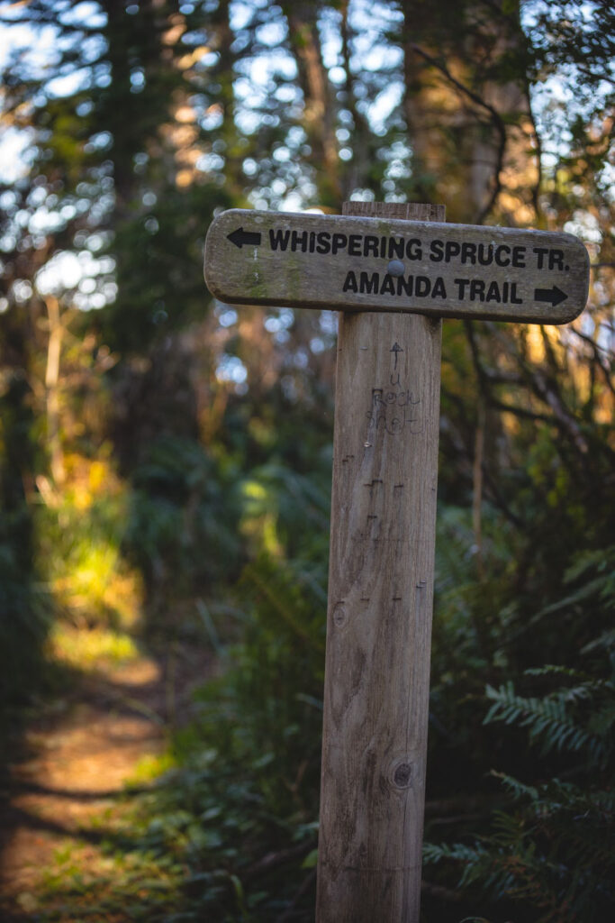 Hiking trail signs in the Cape Perpetua Scenic Area
