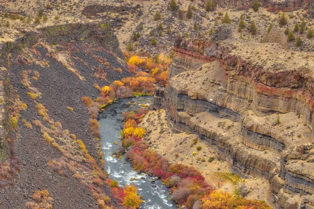 Autumn trees along Deschutes River Canyon in Cove Palisades State Park