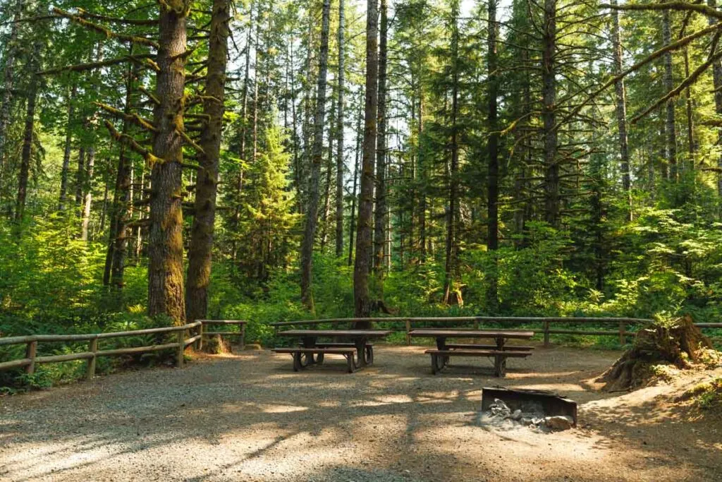 Wooden picnic benches at the Alsea Falls campground