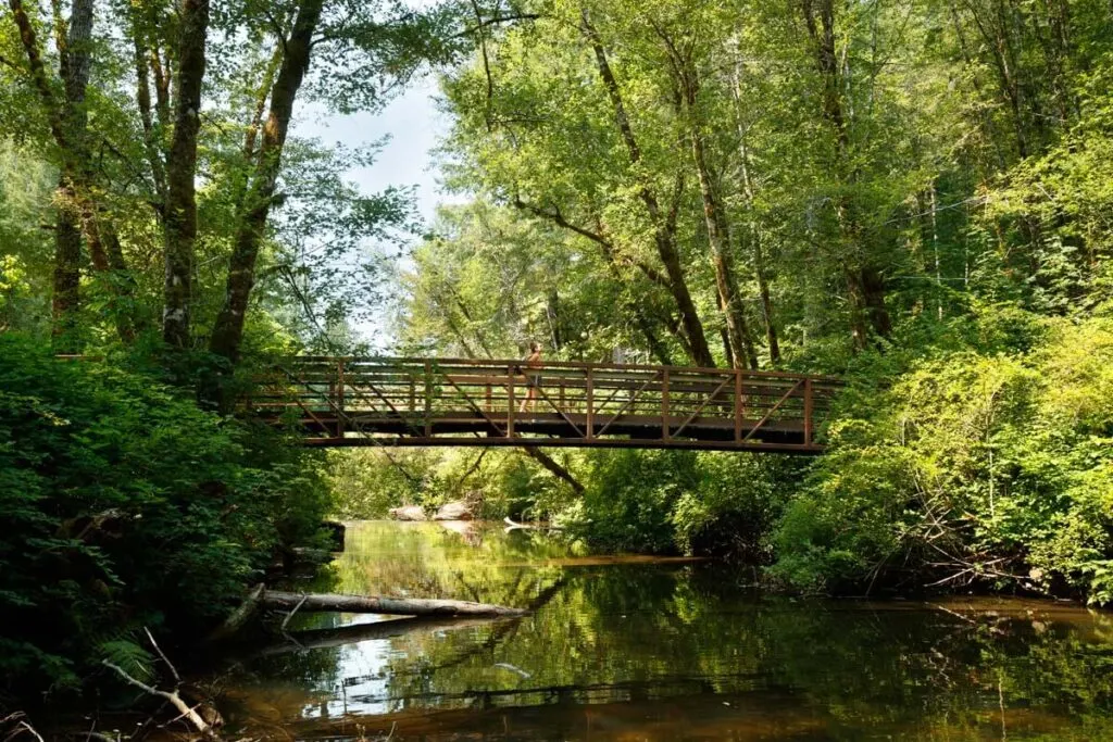 Wooden bridge across a river on the Alsea Falls Trail
