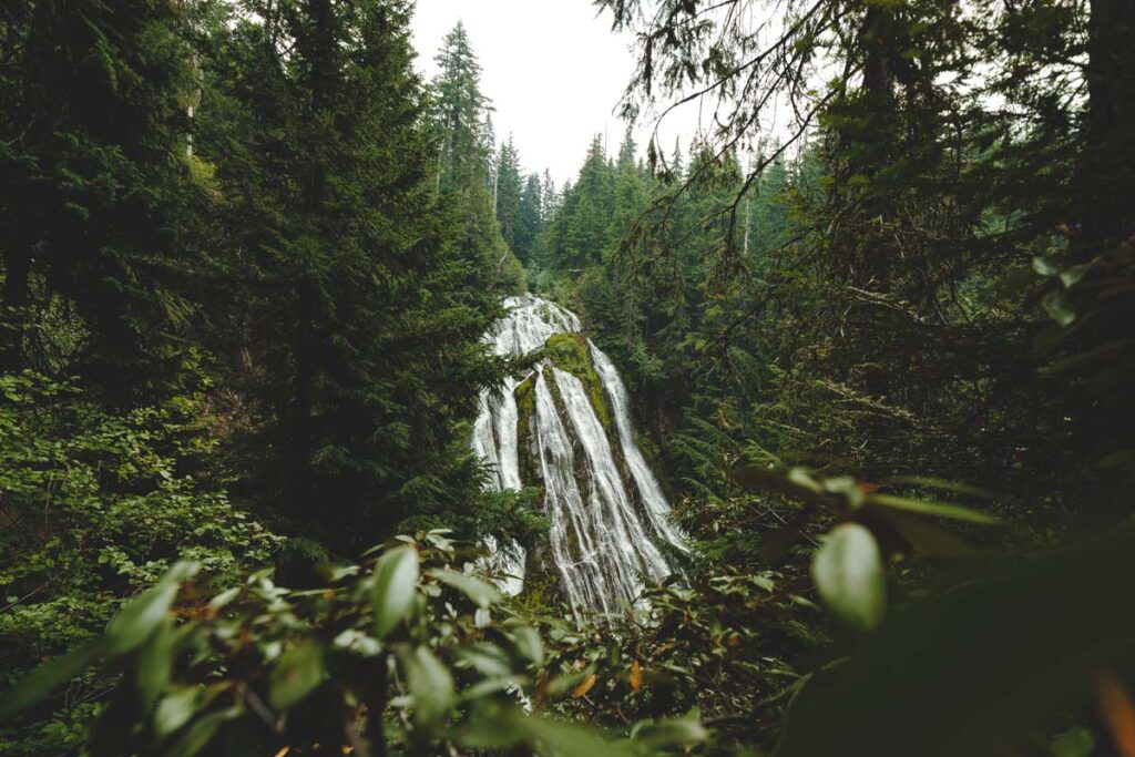 View from below Diamond Creek Falls, Oregon