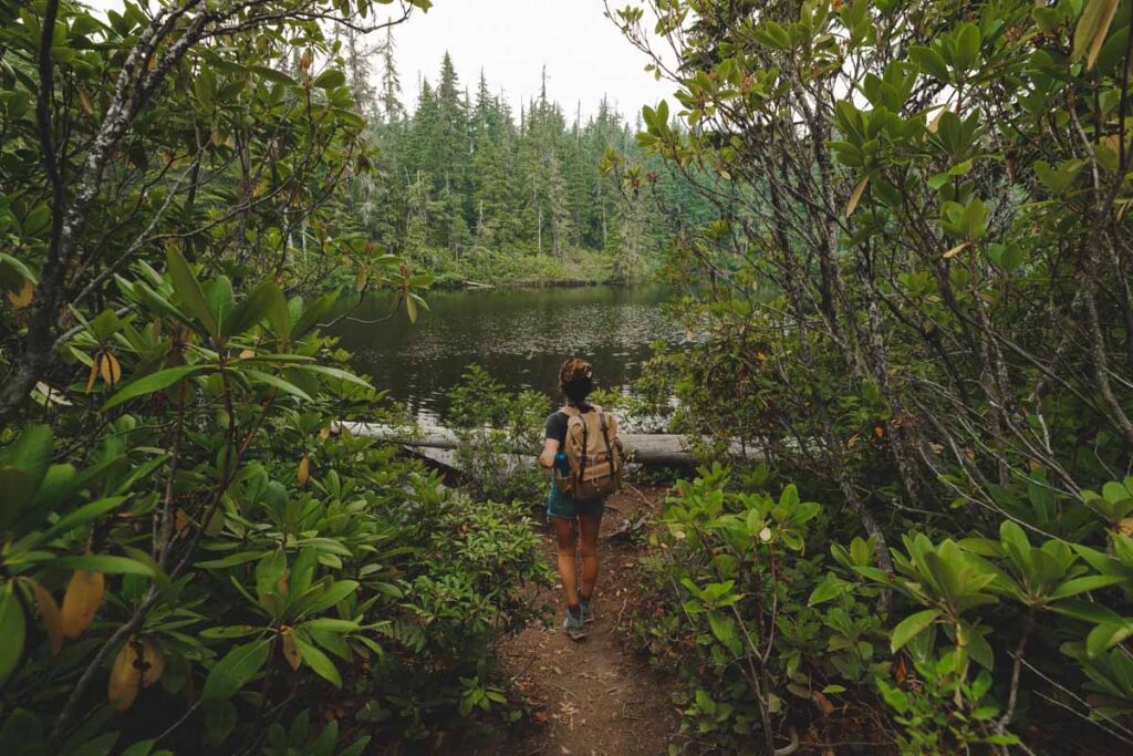 Hiker at Too Much Bear Creek, Oregon