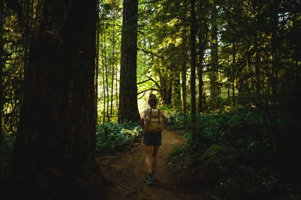Woman hiking through forest on the Alsea Falls Trail