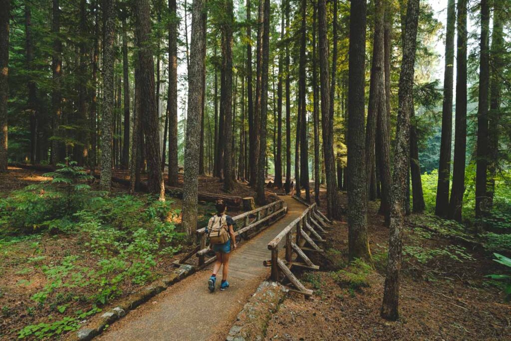 Woman walking across bridge in forest on the Salt Creek Falls hike