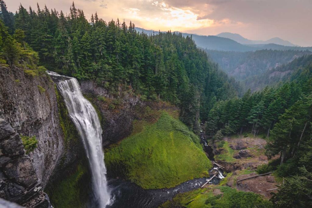 View of Salt Creek Falls and surrounding forest from above