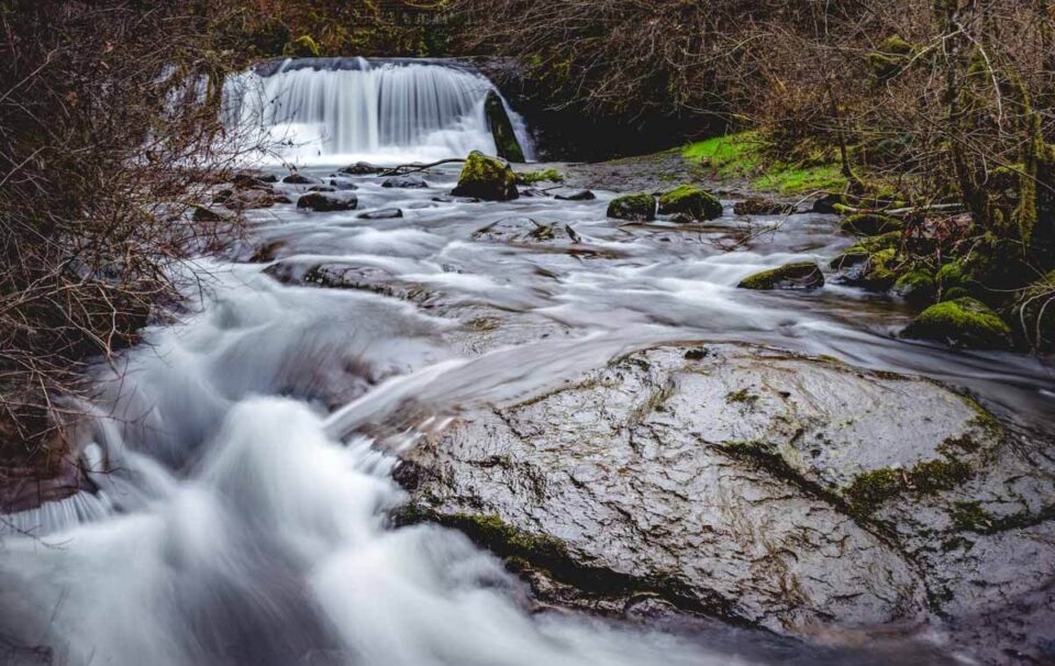 9 Amazing Waterfalls Near Eugene, Oregon Oregon is for Adventure