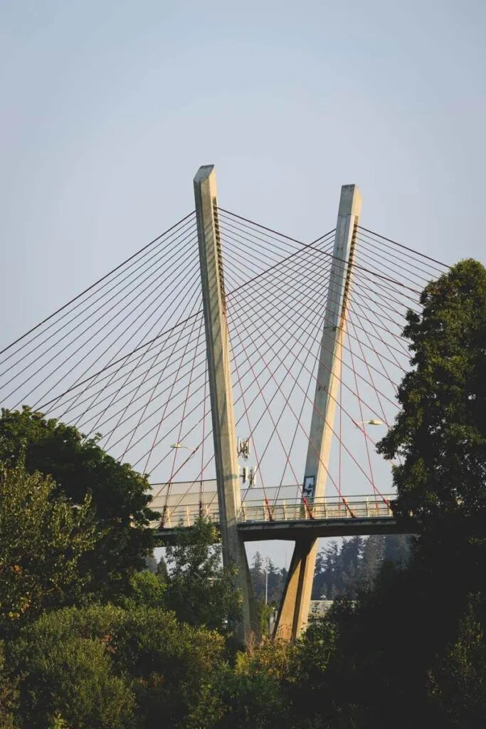 Suspension bridge at Delta Ponds City Park in Eugene