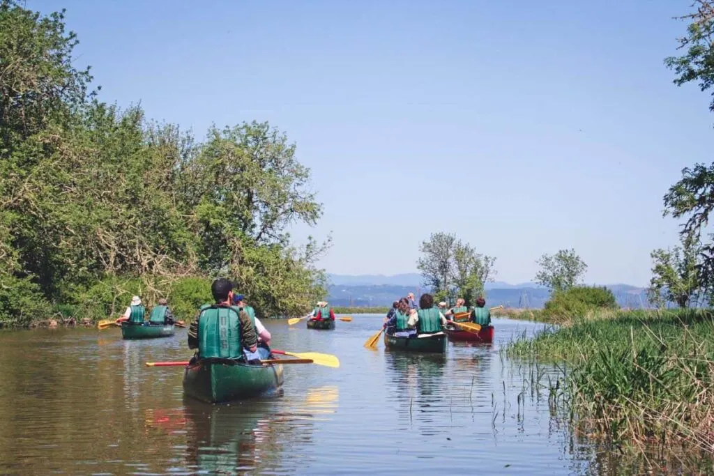 Kayaking on Fern Ridge Lake in Eugene, Oregon