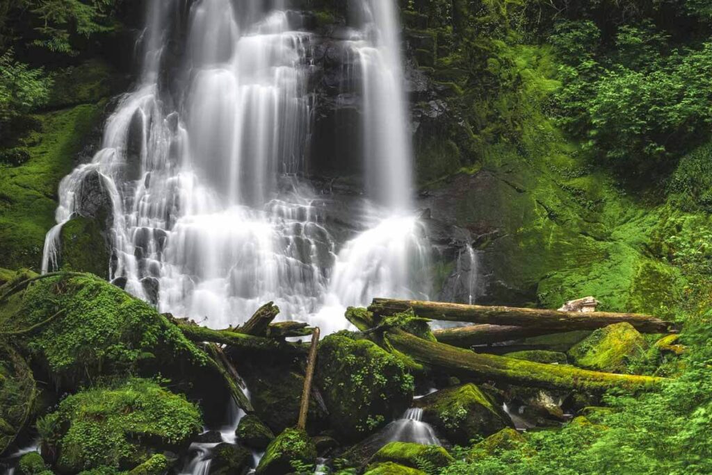 Kentucky Falls waterfalls near Eugene, Oregon