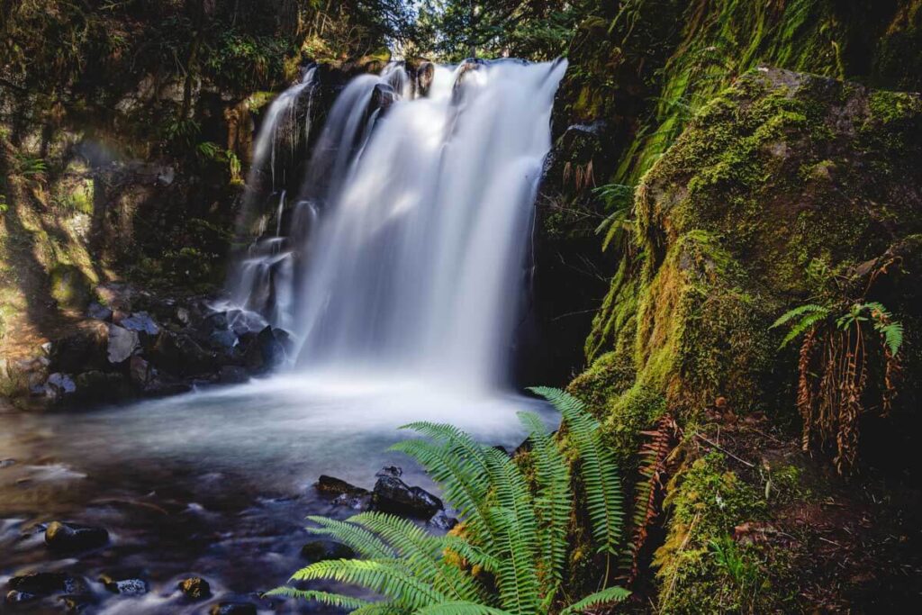 Majestic Waterfall near Eugene, Oregon