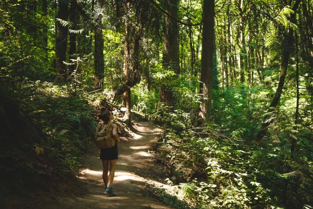 Woman walking the Ridgeline Trail hike near Eugene, Oregon