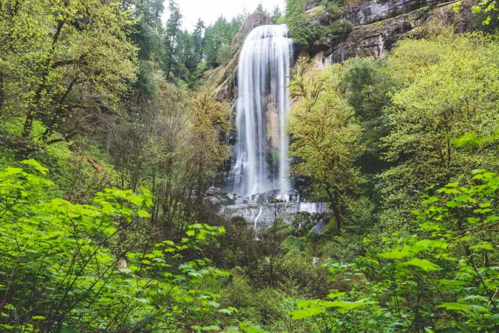 Silver Falls surrounded by trees near Florence, Oregon