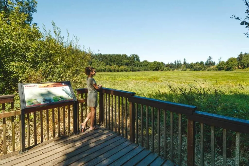 Woman on viewing platform at Wapato Wetlands on Sauvie Island