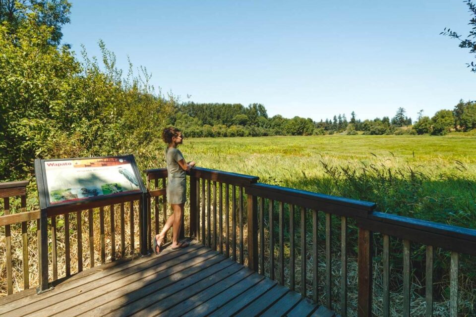 7 Awesome Things To Do on Sauvie Island Near Portland!