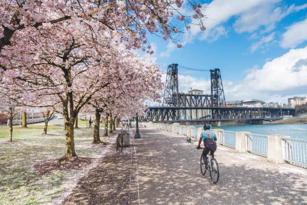 Biking through downtown on Portland Oregon tours