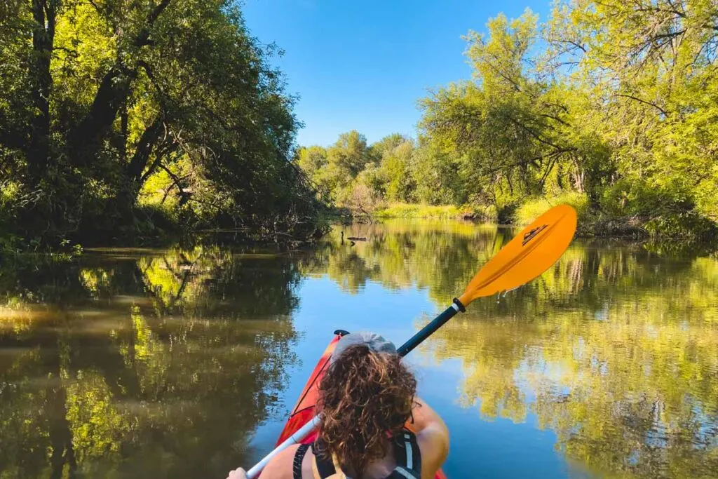 Woman kayaking through mangroves at beaches near Portland