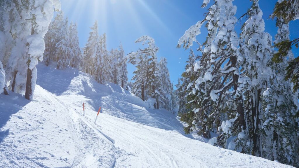Ski slope on Mount Bachelor in winter