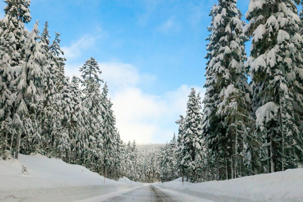 Snowy road during winter in Oregon