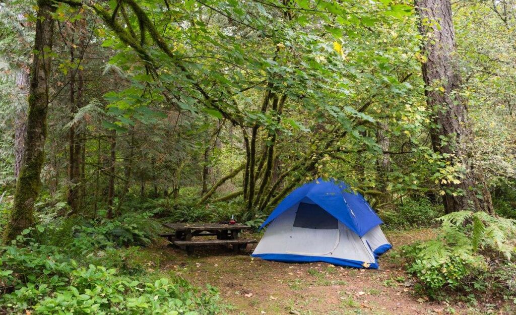 Campsite in Oxbow Regional Park camping near Portland