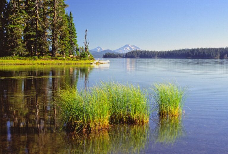 Waldo Lake camping near Eugene