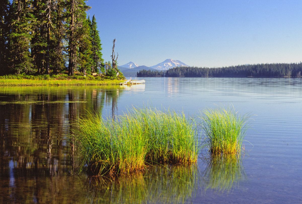 Waldo Lake camping near Eugene