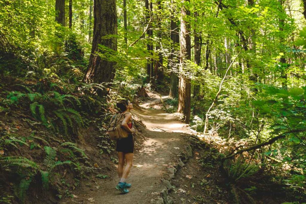 Hiker on path in Marquam Park one of the best parks in Portland