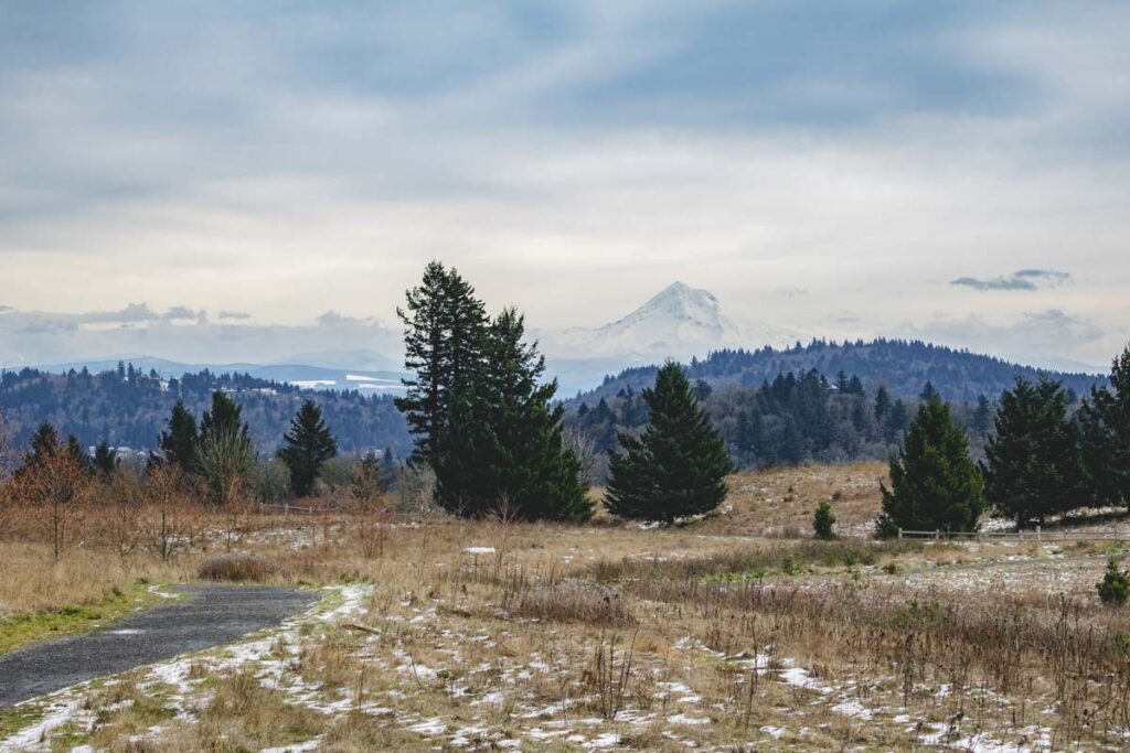 View of Mount Hood from Powell Butte Nature Park in Portland