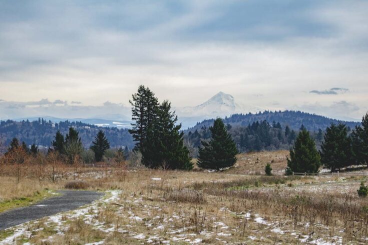8 Easy Oregon Hikes Close to Portland With Big Views for a Perfect Day ...